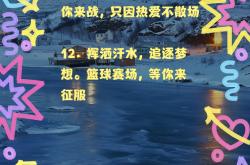 喜迎篮球盛事，全民狂欢迎接挑战