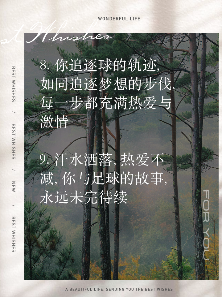 渴望胜利的心情，燃烧着每个足球爱好者的热情